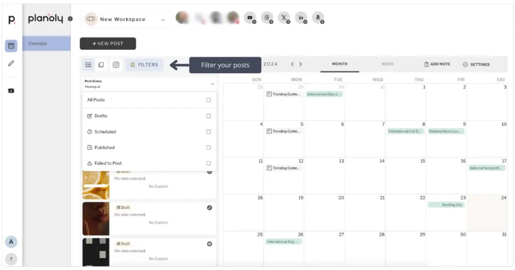 Planoly calendar filters