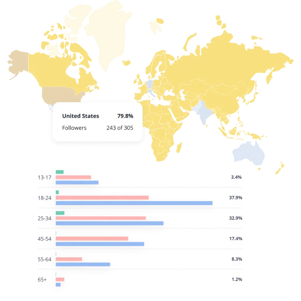 SocialBee audience demographics and insights